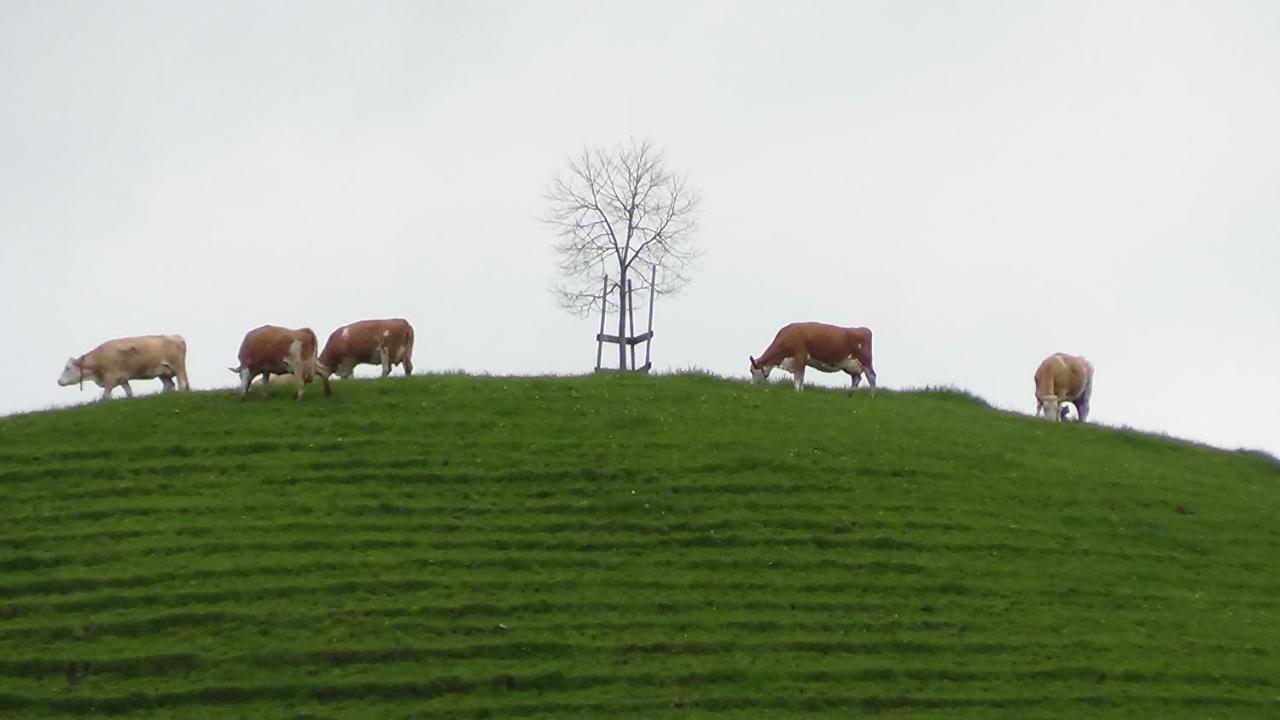 Ferienhof Krinde Ringoldswil Exterior foto